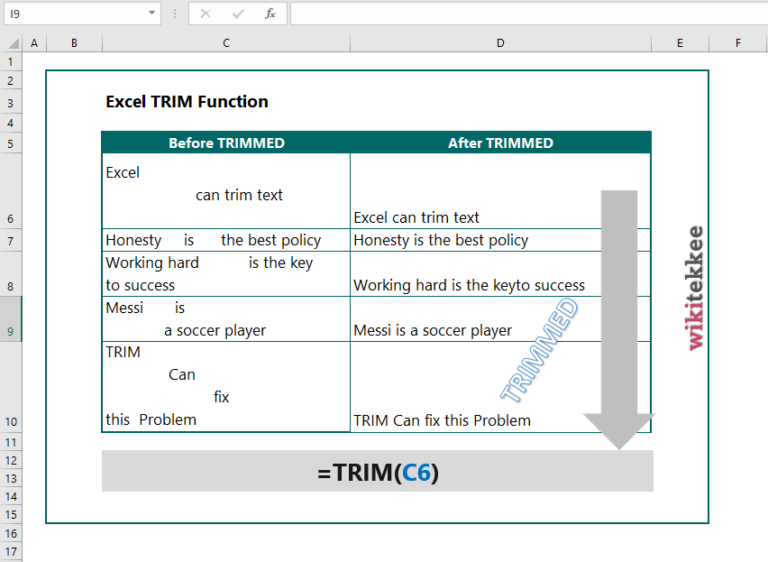 Excel TRIM Function (5 Examples) wikitekkee