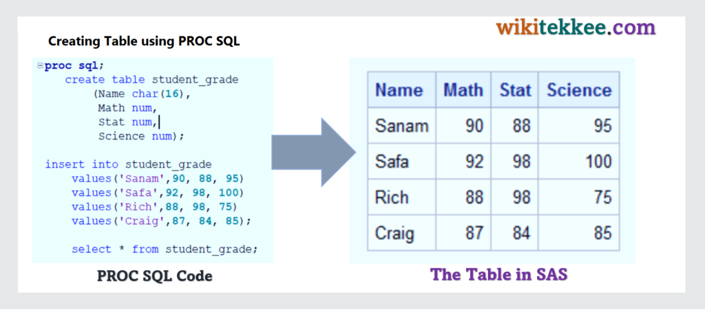 create-sas-data-set-with-raw-data-manually-3-easy-examples-wikitekkee