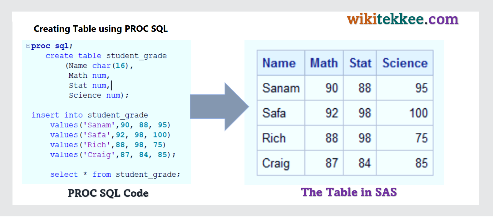 variable assignment in sas